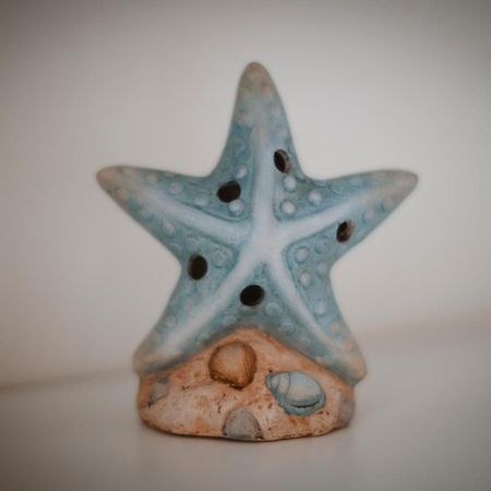 וירג'יו Villa Valentina Versilia מראה חיצוני תמונה